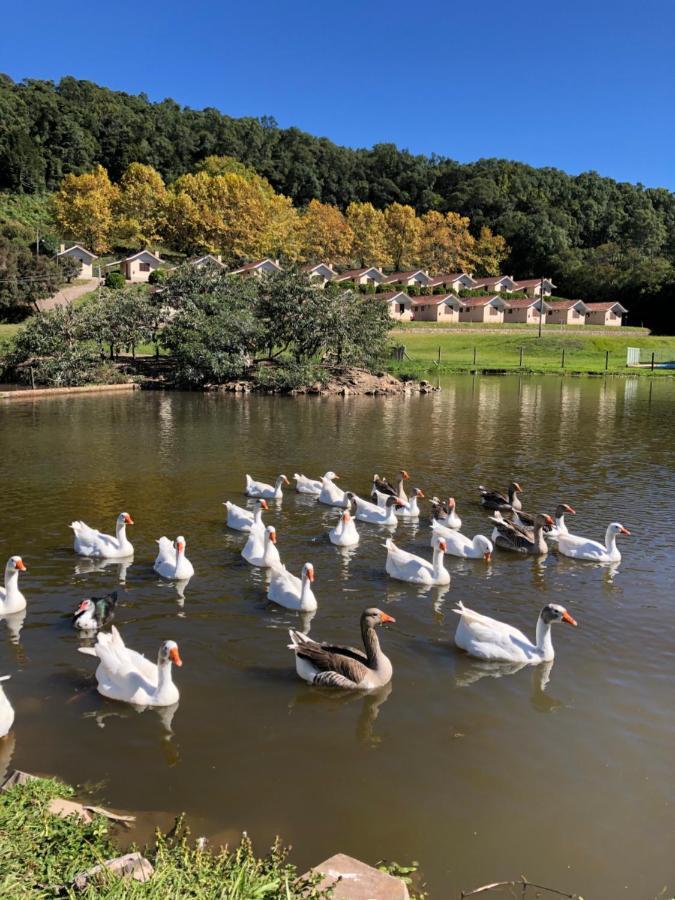 Pousada Parque Das Pitangueiras 弗洛里斯-达库尼亚 外观 照片